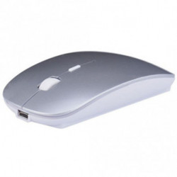 Souris Wireless Mouse compatible Apple (Bluetooth) Argent Silver