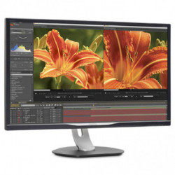 Philips 32" Quad HD LED (HDMI, DisplayPort, VGA)