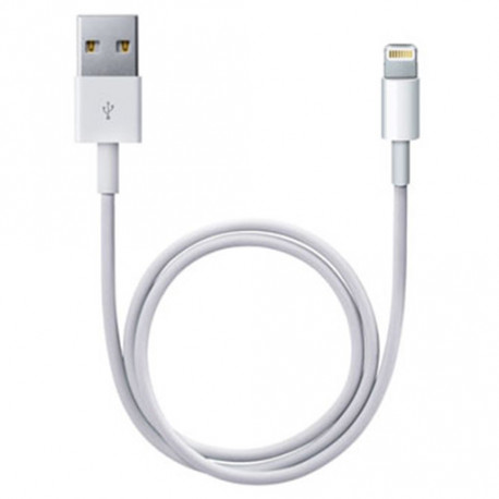 Apple Câble Apple Lightning USB (2m)