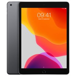 Apple iPad 10,2" 32Go Wi-Fi (gris sidéral) MW742 (late 2019)