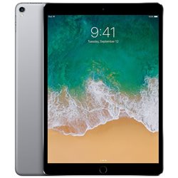 Apple iPad Pro 256Go Wi-Fi + Cellular 10,5" (gris sidéral) MPHG2 (mid 2017)