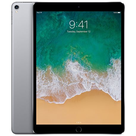 Apple iPad Pro 512Go Wi-Fi + Cellular 10,5" (gris sidéral) MPME2 (mid 2017)