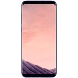 Samsung Galaxy S8+ 64Go Gris Orchidée