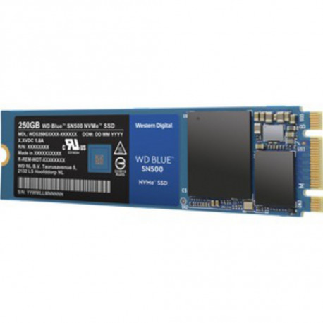 WD 250GB BLUE NVME SSD M.2