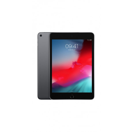 Apple iPad mini 7,9'' 256Go Wi-Fi (Gris sideral) MUU32 (early 2019)