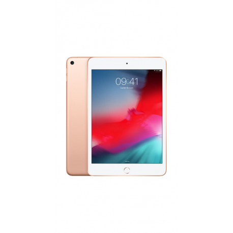 Apple iPad mini 7,9'' 64Go Wi-Fi Cellular (Or) MUX72 (early 2019)