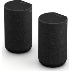 SONY Kit enceinte surround Enceintes arrieres SARS5 x2