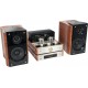 Madison Amplificateur HiFi MAD-TA20BT