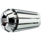 Fahrion Pinces de serrage DIN6499B 470E GERC32 16,0 mm