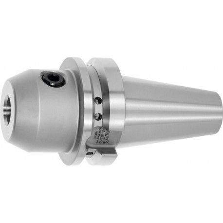 Holex Mandrins porte-fraises Weldon Type AD, BT 40 A -&nbsp;100,⌀ serrage D1: 8 mm