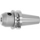 Holex Mandrins porte-fraises Weldon Type AD, BT 50 A -&nbsp;100,⌀ serrage D1: 12 mm