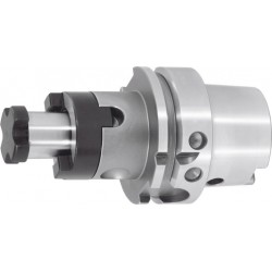 Holex Mandrin porte-fraise combiné, HSK-A 100 A - 100,⌀ mandrin d1: 40 mm