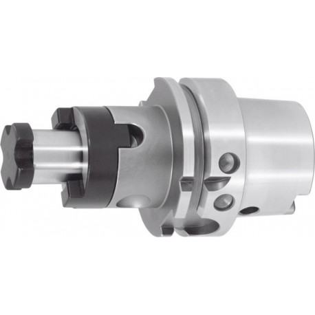 Holex Mandrin porte-fraise combiné, HSK-A 100 A - 100,⌀ mandrin d1: 40 mm
