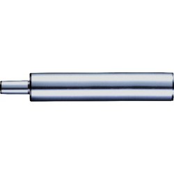 Albrecht Tige de cylindre pour mandrin D8x35mm B10