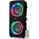 Pickering Enceinte nomade PANTHER P26 300W Bluetooth USB SD