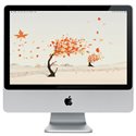 Apple iMac Intel 2,4GHz 2Go/320Go SuperDrive 20"